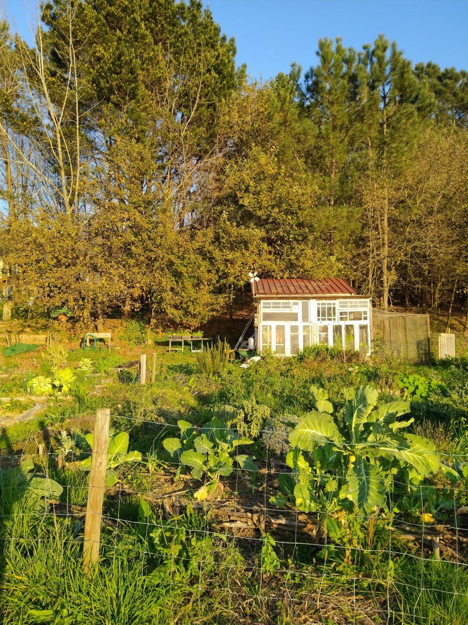 Associacao Quinta Das Relvas Branca Extérieur photo