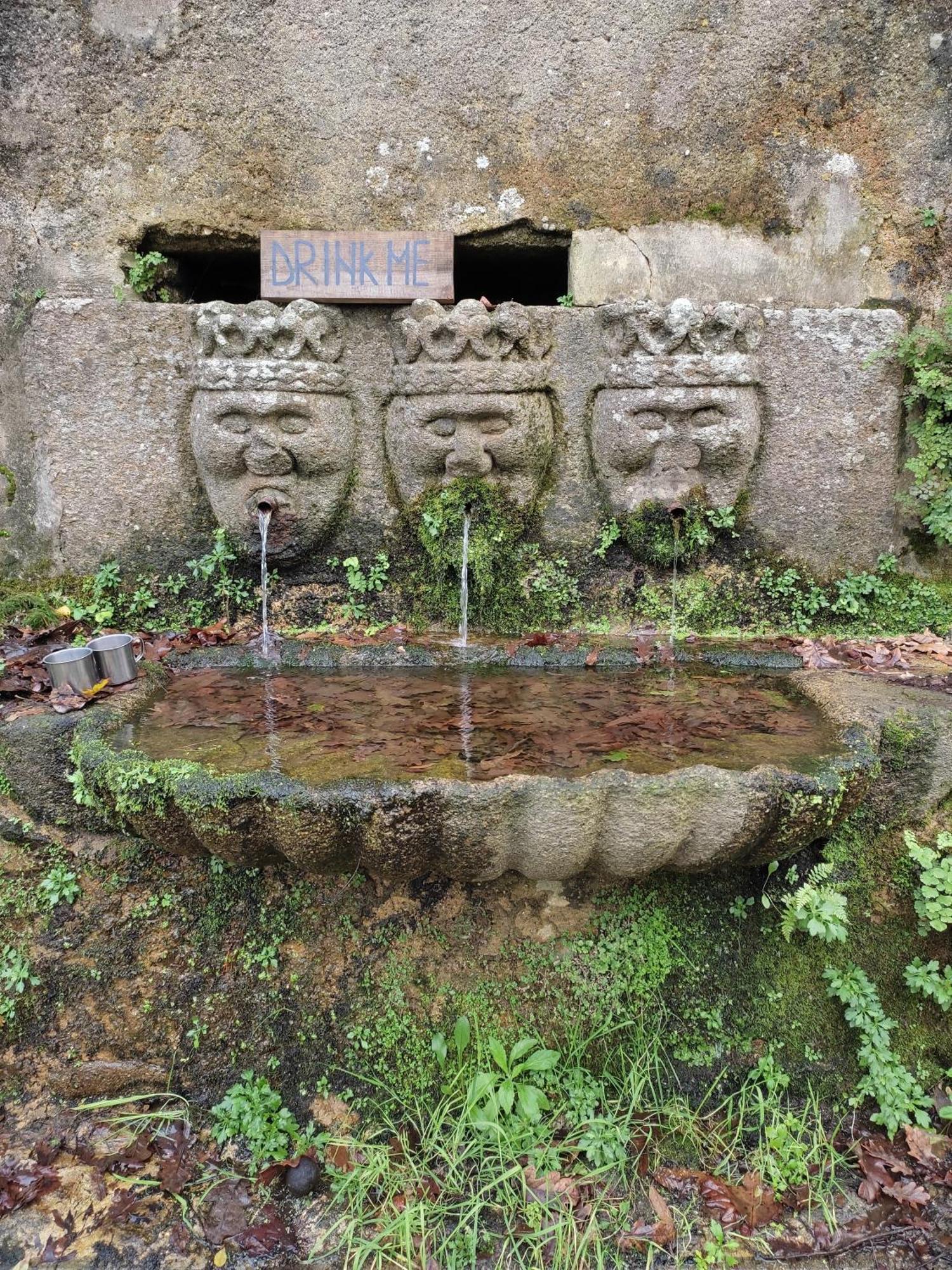 Associacao Quinta Das Relvas Branca Extérieur photo