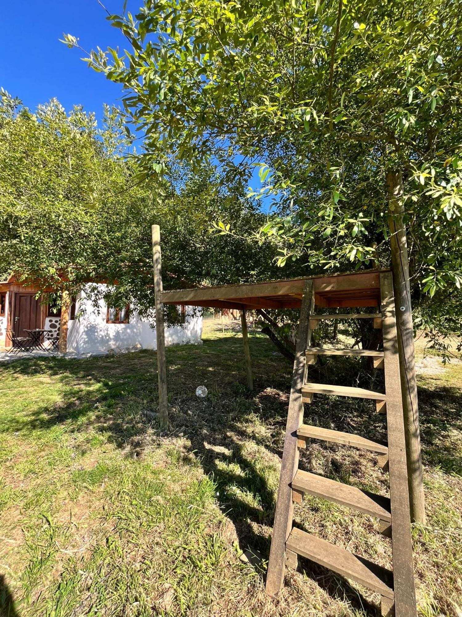 Associacao Quinta Das Relvas Branca Extérieur photo